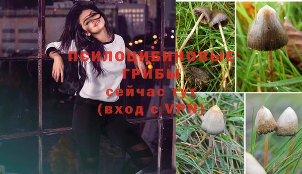 метадон Белокуриха