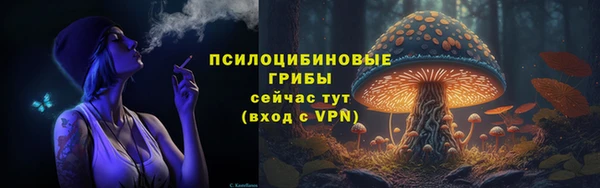 метадон Белокуриха