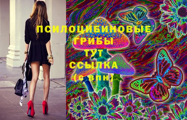 шишки Валуйки