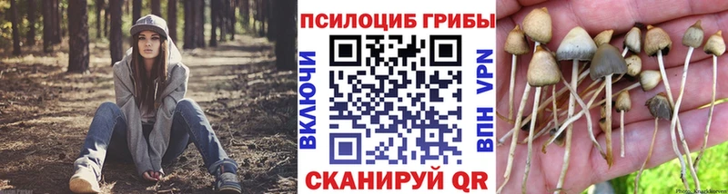 Псилоцибиновые грибы мухоморы  МЕГА tor  Ленинградская  как найти  